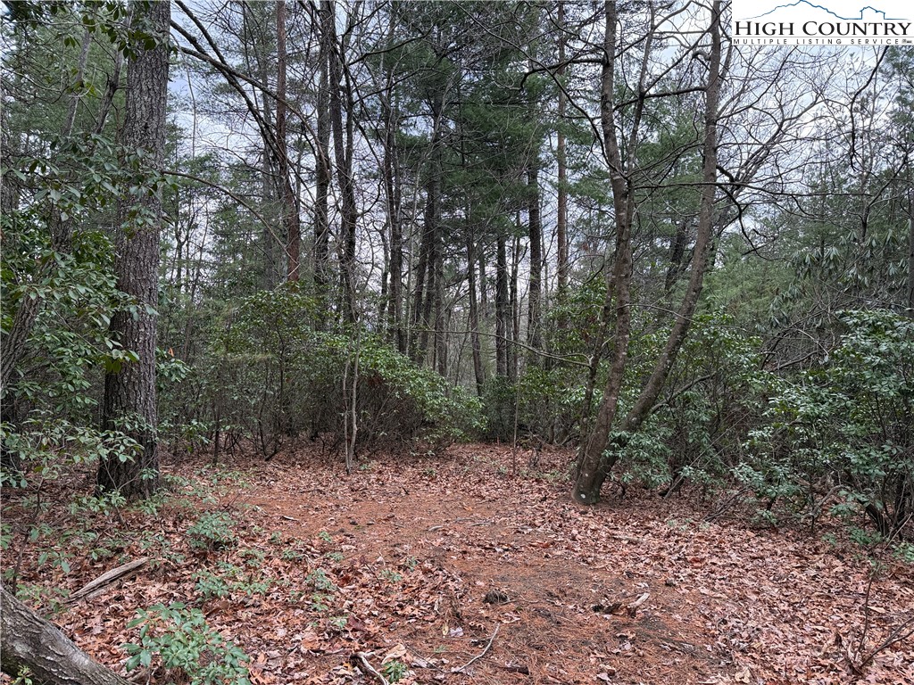 Lot 82 Deer Antler Road Purlear, NC 28665 - Photo 8 of 41 a view of a forest with trees in the background