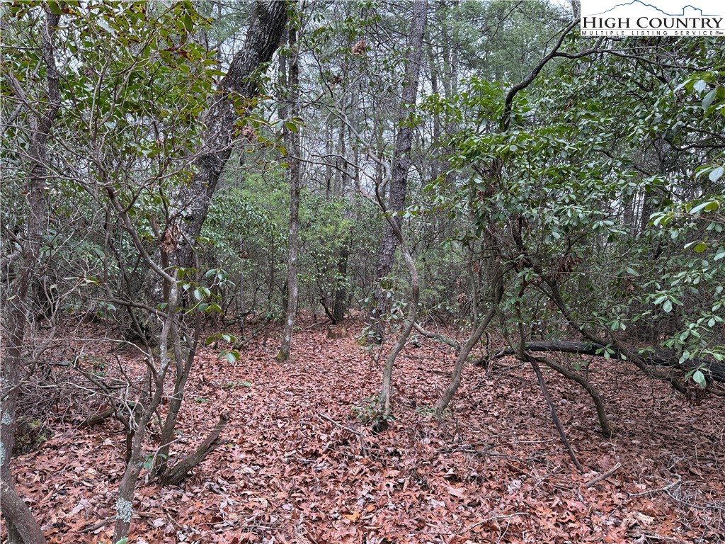 Lot 82 Deer Antler Road Purlear, NC 28665 - Photo 9 of 41 a big yard with lots of green space