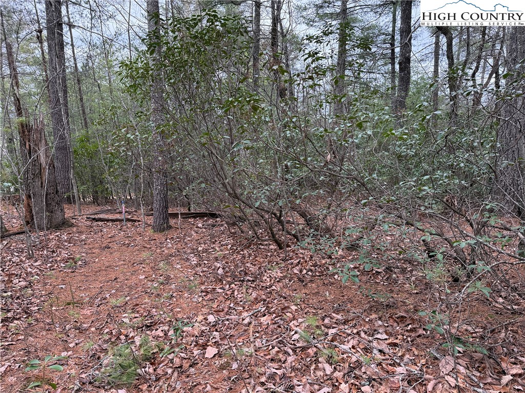 Lot 82 Deer Antler Road Purlear, NC 28665 - Photo 10 of 41 a view of outdoor space and tree