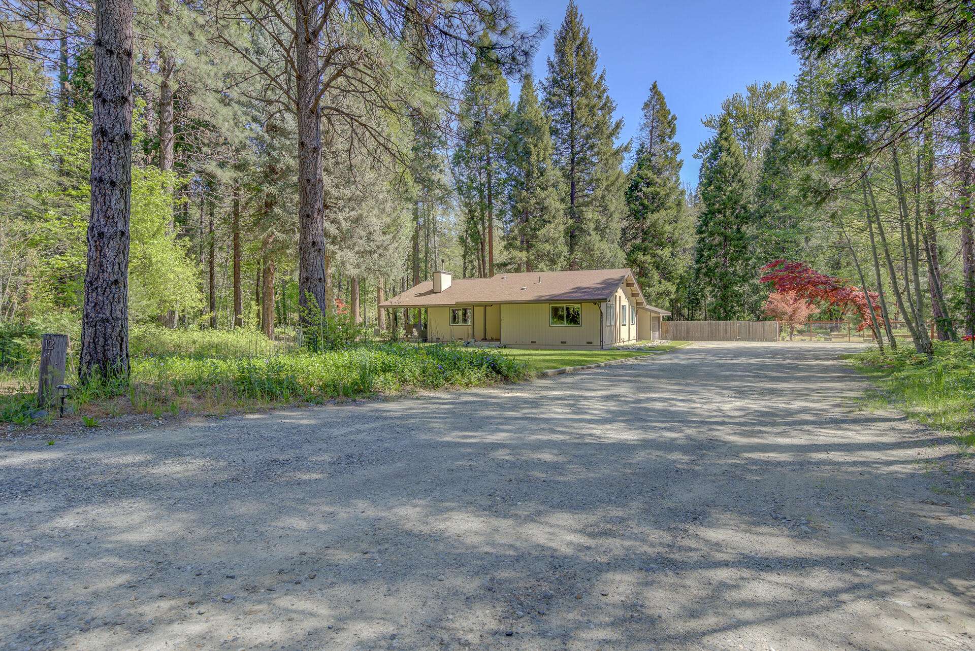 12 Billys Peak Road Trinity Center, CA 96091 - Photo 26 of 52 a front view of a house with a yard and trees