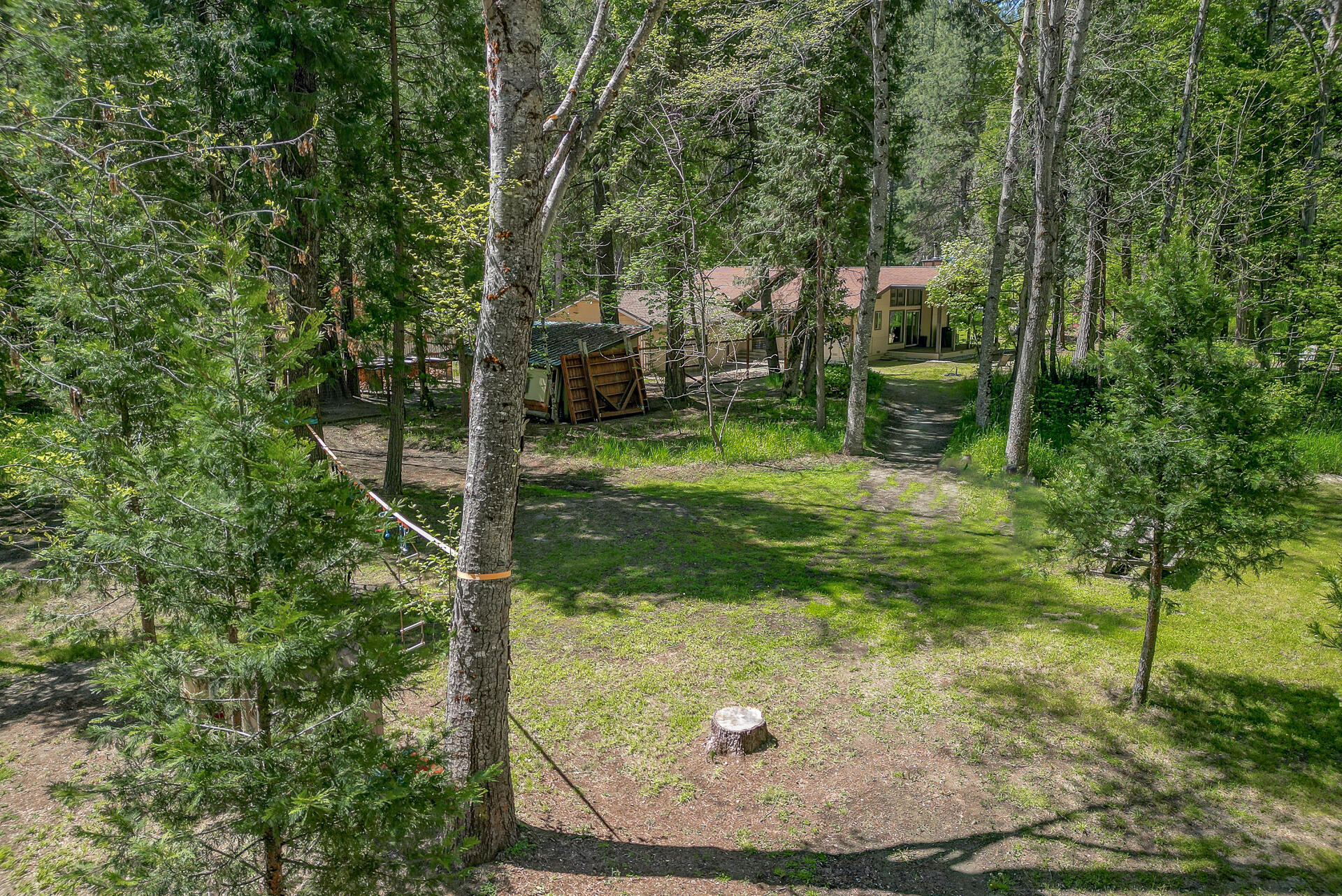 12 Billys Peak Road Trinity Center, CA 96091 - Photo 46 of 52 a view of a backyard