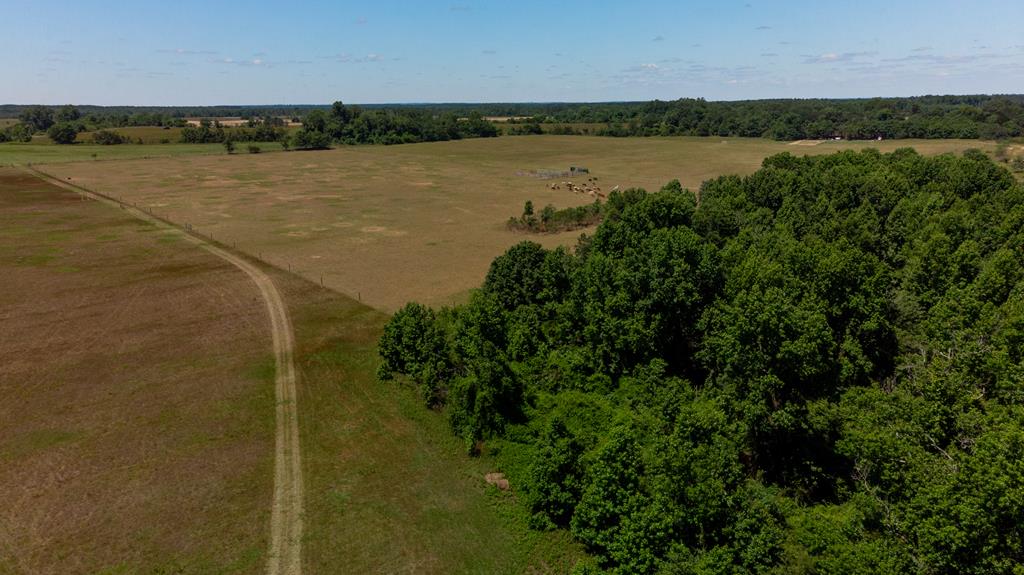 167 Hayes Road Mauk, GA 31058 - Photo 14 of 22 Gallery Image 14