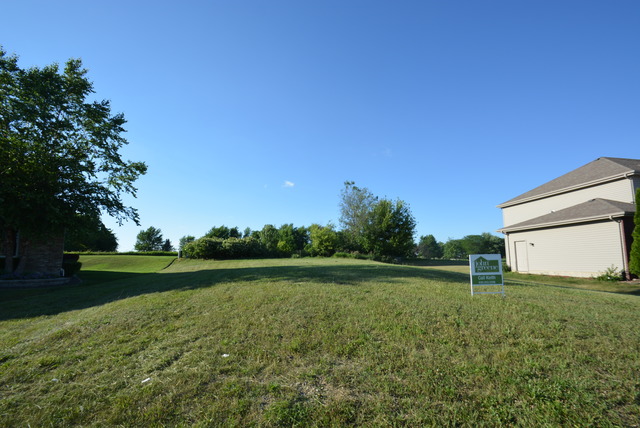 321 Pine Street Beecher, IL 60401 - Photo 1 of 5