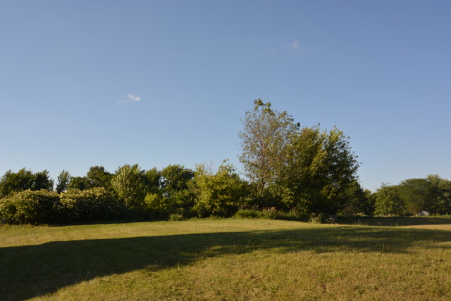 321 Pine Street Beecher, IL 60401 - Photo 4 of 5