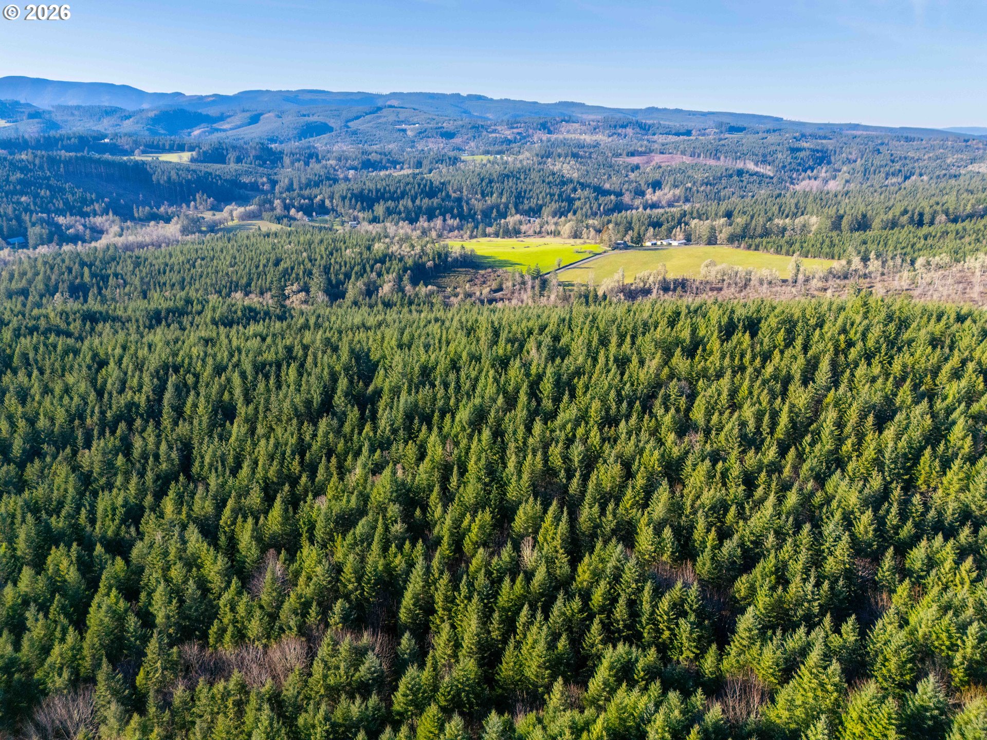 Liberty Road, Unit TL100 Dallas, OR 97338 - Photo 11 of 48 Gallery Image 11