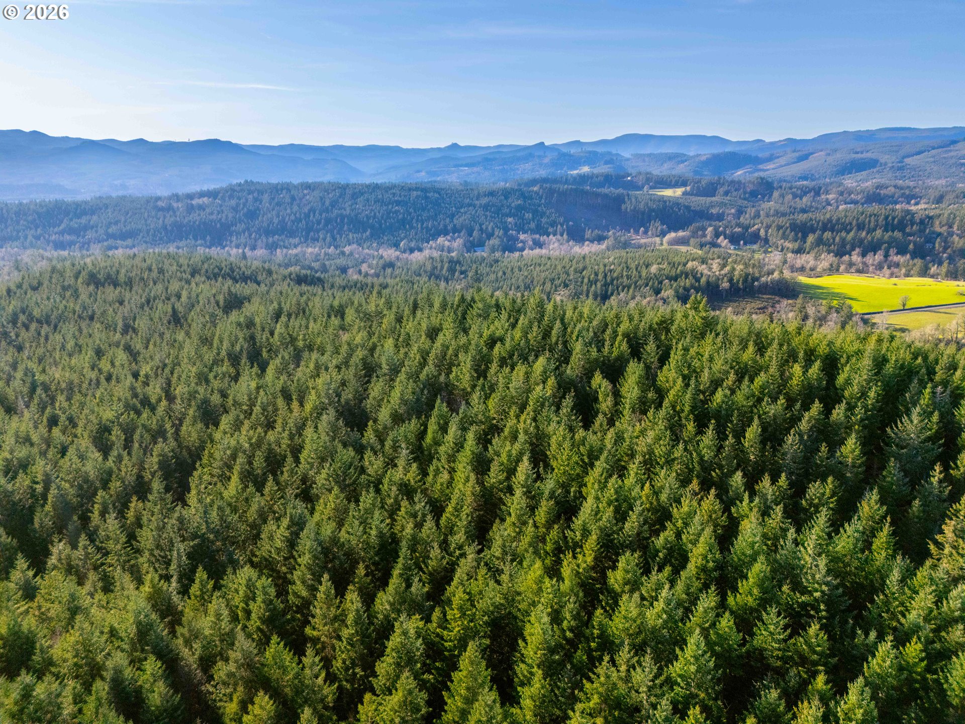 Liberty Road, Unit TL100 Dallas, OR 97338 - Photo 12 of 48 Gallery Image 12
