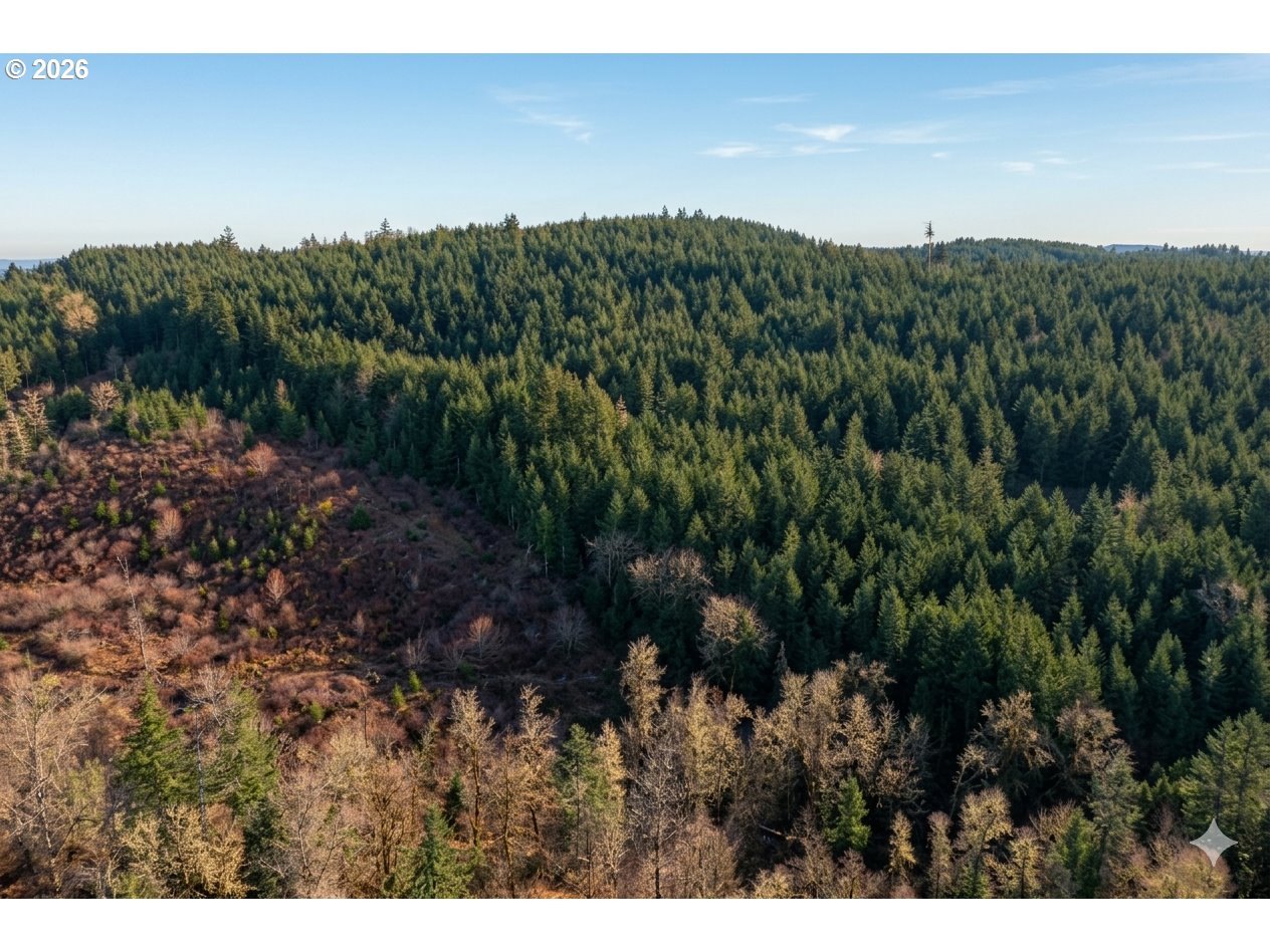 Liberty Road, Unit TL100 Dallas, OR 97338 - Photo 19 of 48 Gallery Image 19