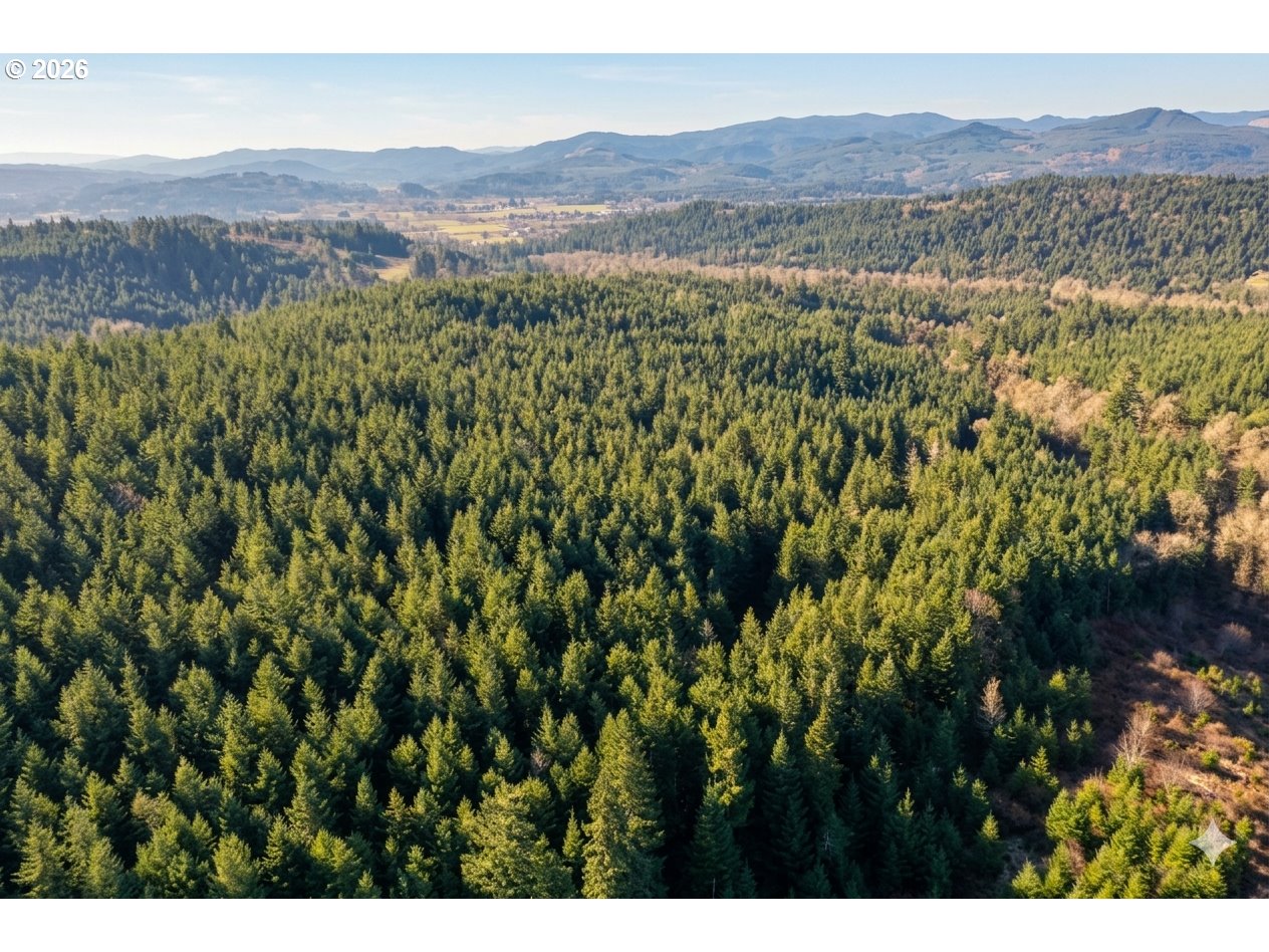 Liberty Road, Unit TL100 Dallas, OR 97338 - Photo 21 of 48 Gallery Image 21
