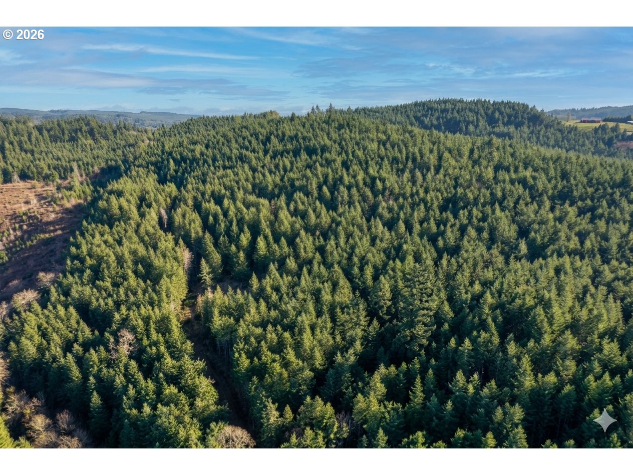 Liberty Road, Unit TL100 Dallas, OR 97338 - Photo 22 of 48 Gallery Image 22