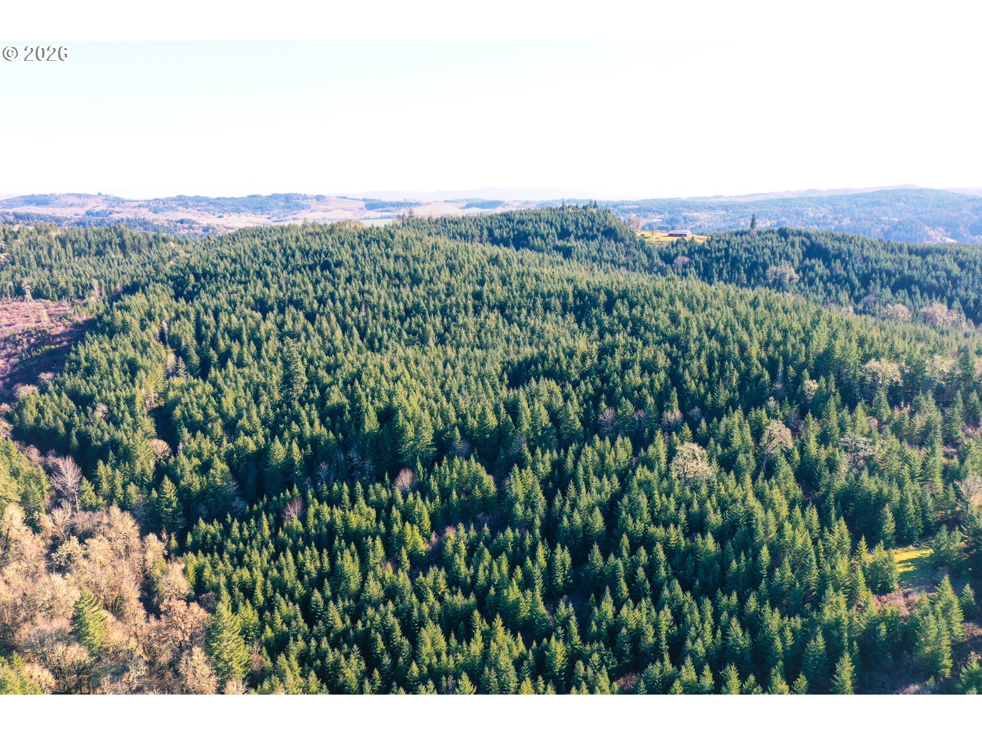 Liberty Road, Unit TL100 Dallas, OR 97338 - Photo 25 of 48 Gallery Image 25