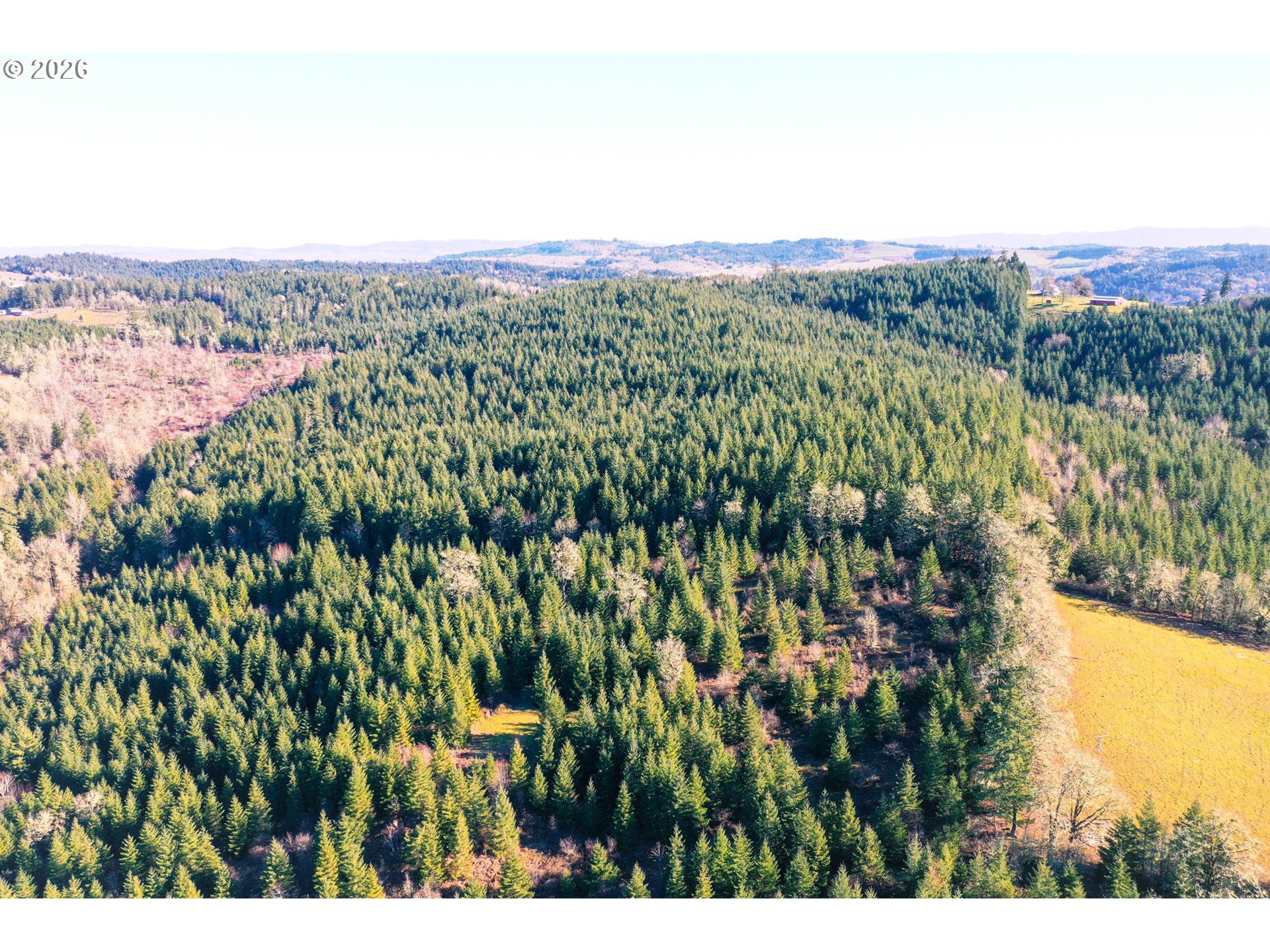 Liberty Road, Unit TL100 Dallas, OR 97338 - Photo 26 of 48 Gallery Image 26