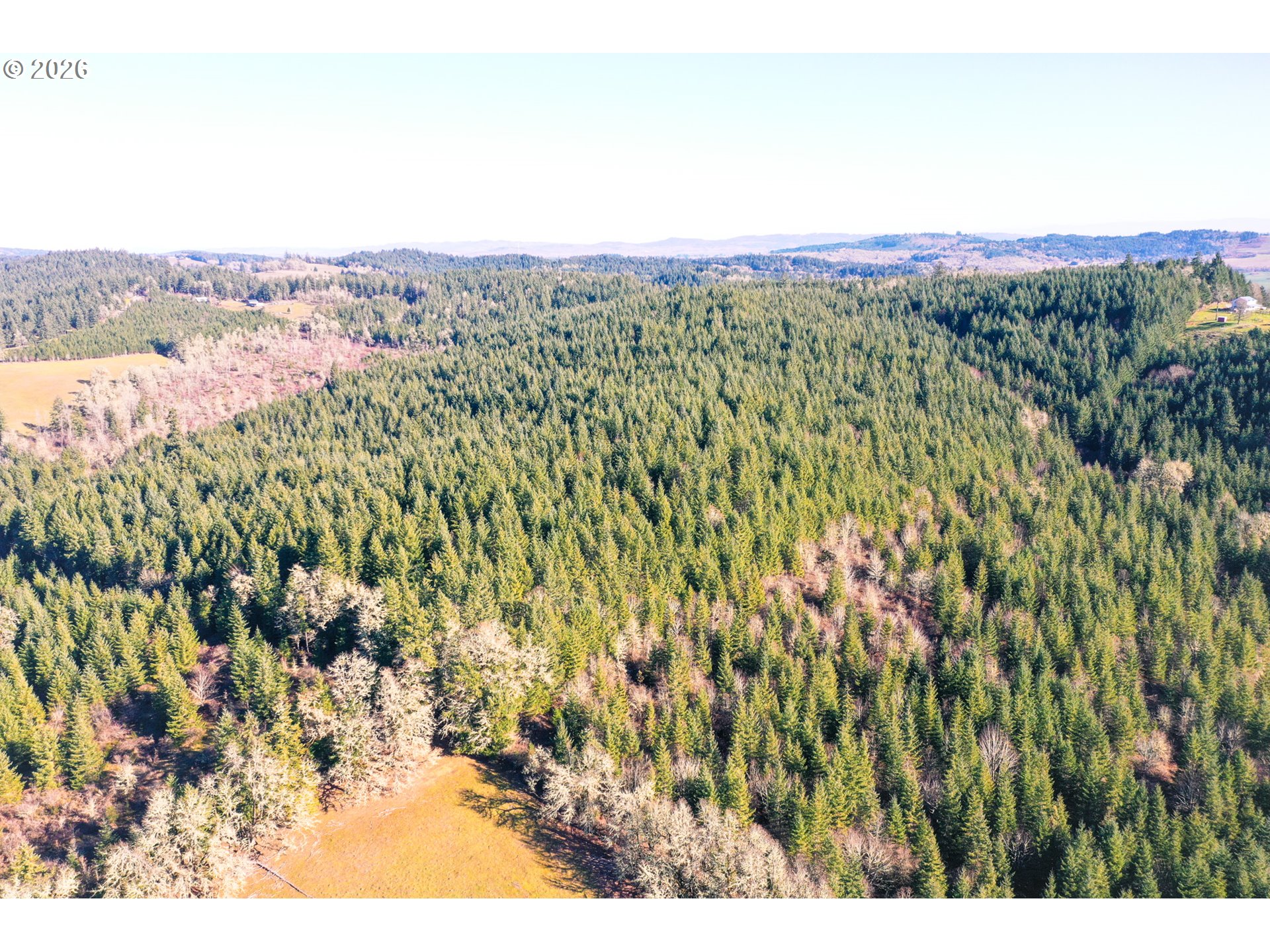 Liberty Road, Unit TL100 Dallas, OR 97338 - Photo 28 of 48 Gallery Image 28