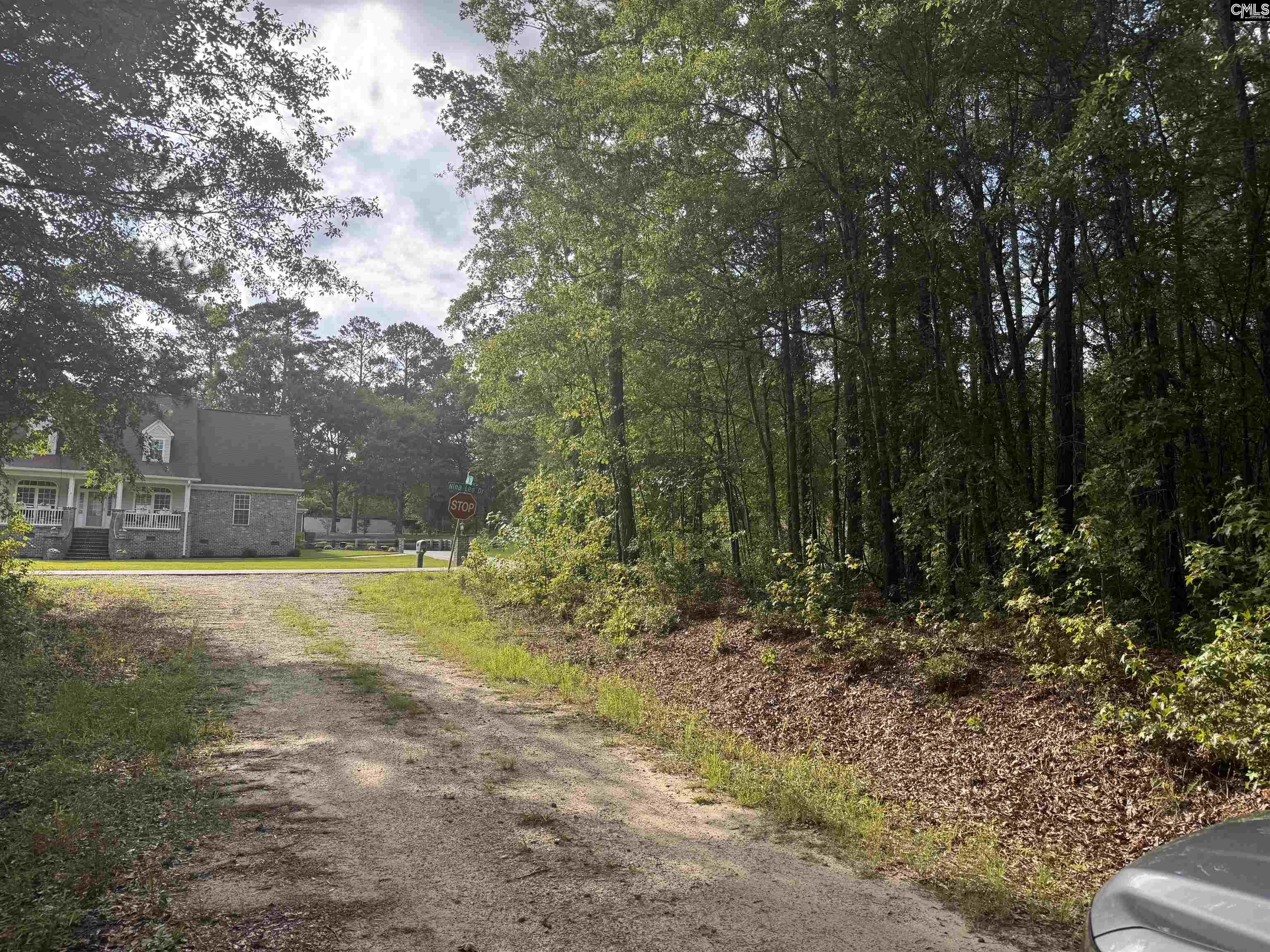 209 Ted Street Columbia, SC 29203 - Photo 10 of 10