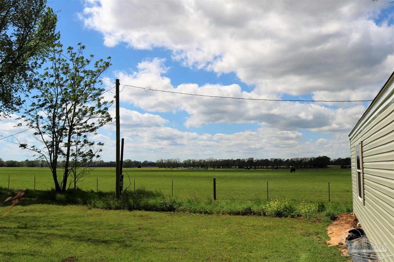 4470 Custer Lane Jay, FL 32565 - Photo 13 of 13