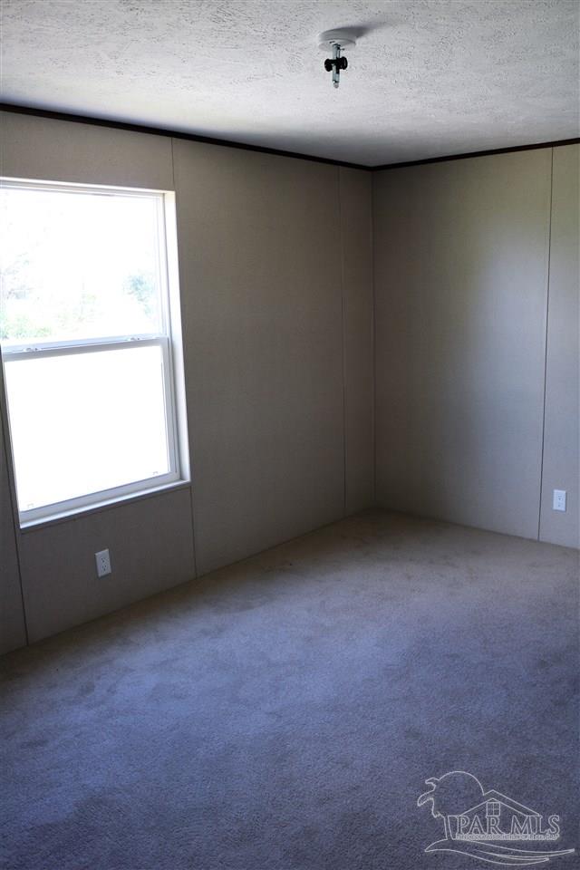 4470 Custer Lane Jay, FL 32565 - Photo 5 of 13