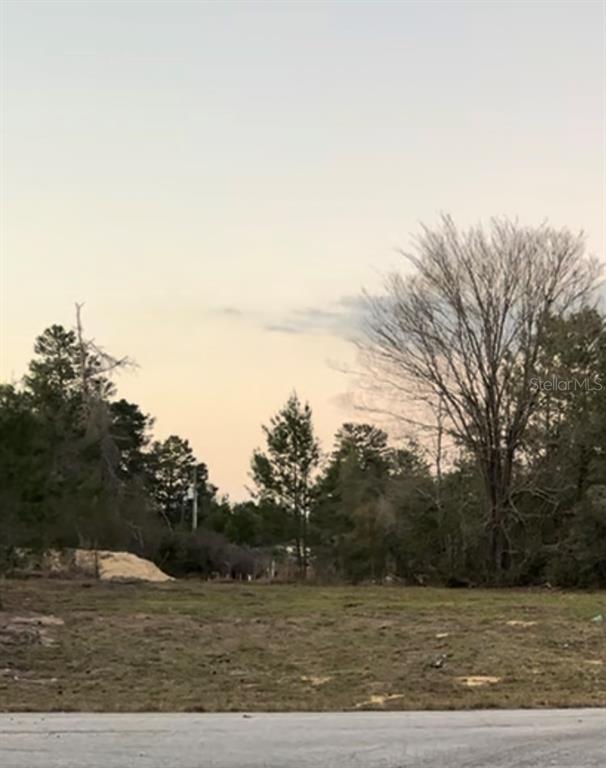 169 Southwest 147 Lane Road, Unit 13 Ocala, FL 34473 - Photo 1 of 1 a view of a field of grass and trees