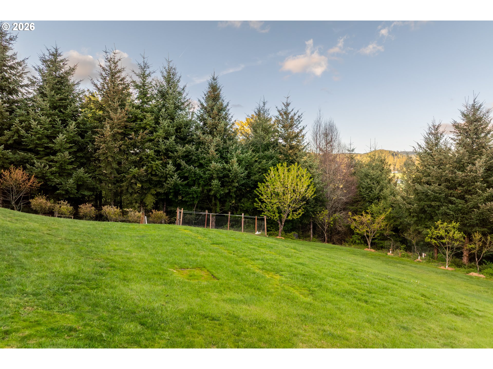 200 Pine Ridge Drive Woodland, WA 98674 - Photo 37 of 48 a backyard of a house with lots of green space