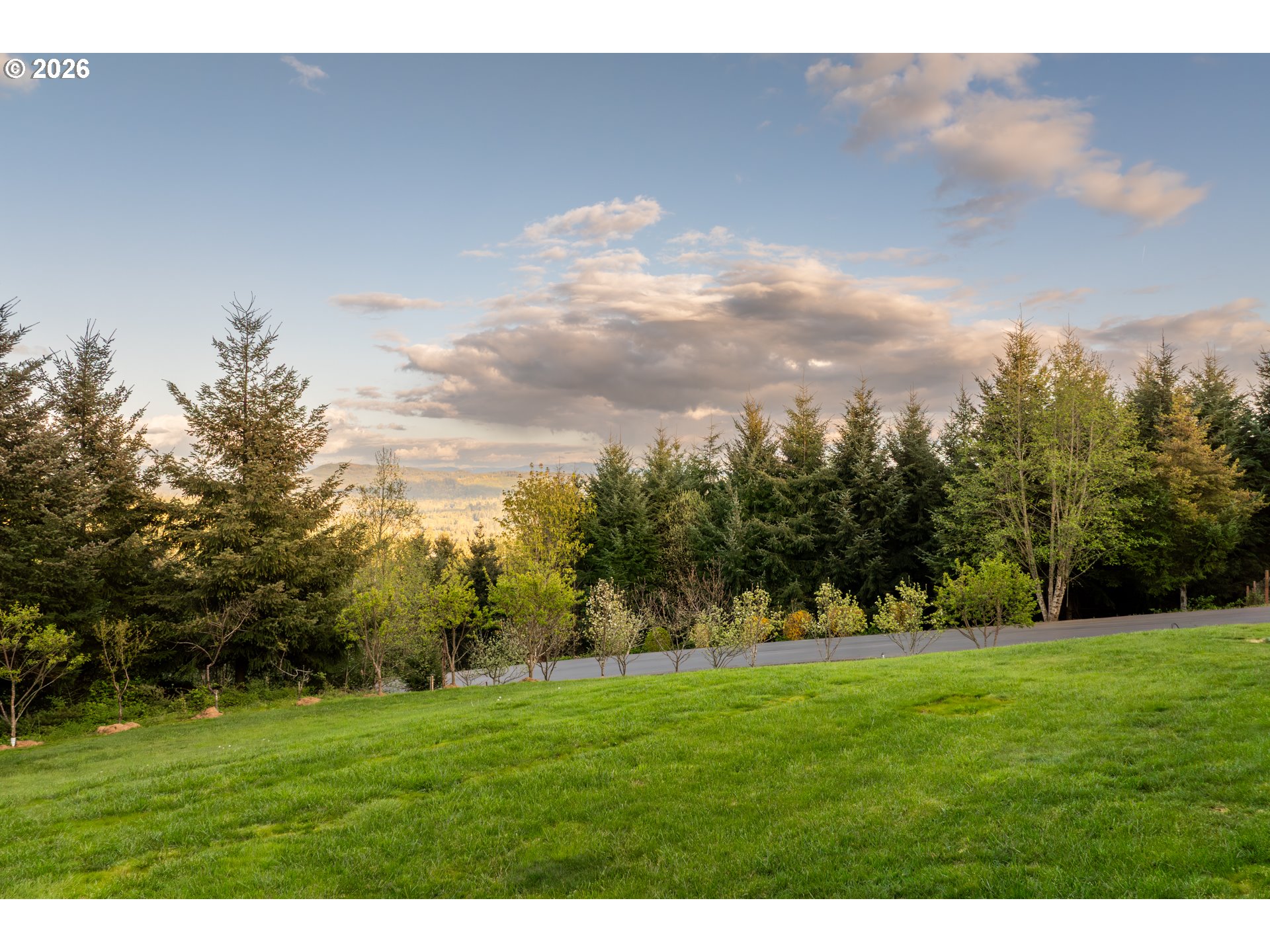 200 Pine Ridge Drive Woodland, WA 98674 - Photo 38 of 48 a view of grassy field with trees