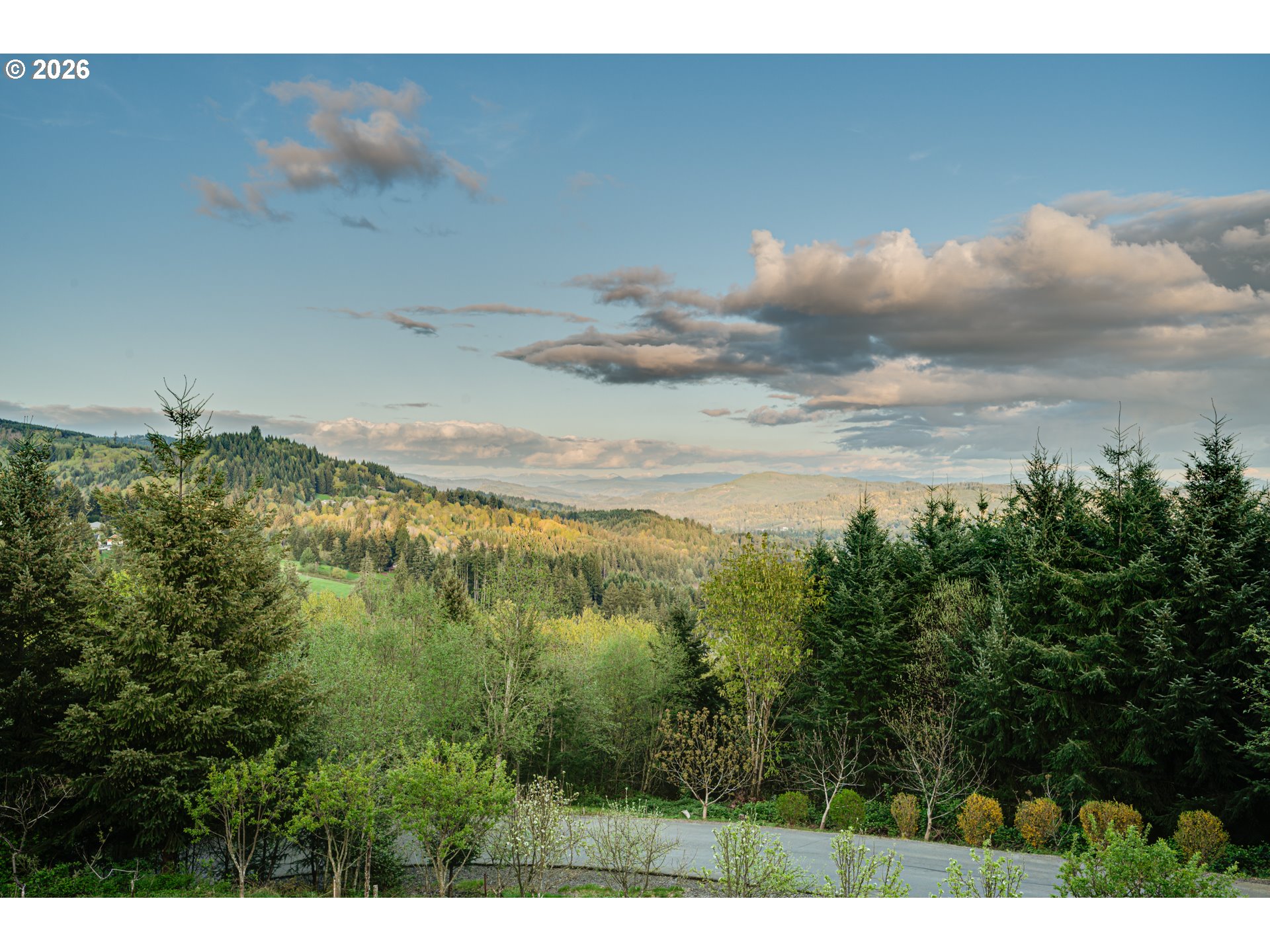 200 Pine Ridge Drive Woodland, WA 98674 - Photo 40 of 48 a view of a lake in middle of forest