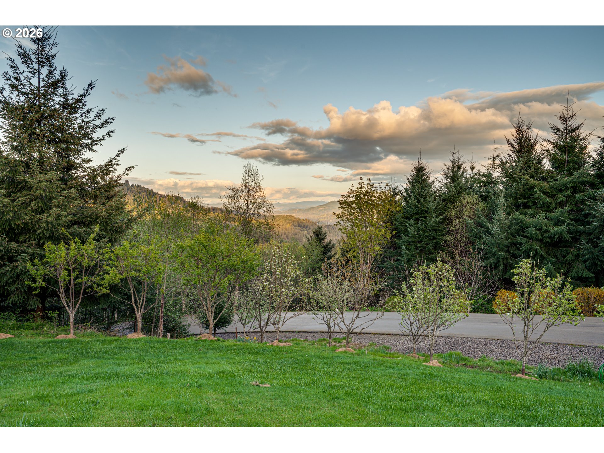 200 Pine Ridge Drive Woodland, WA 98674 - Photo 41 of 48 a view of grassy field with trees