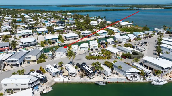 a view of a swimming pool with a lawn chairs and palm trees