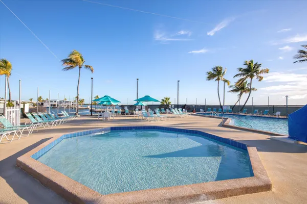 a row of palm trees and a swimming pool with a lawn chairs under palm trees