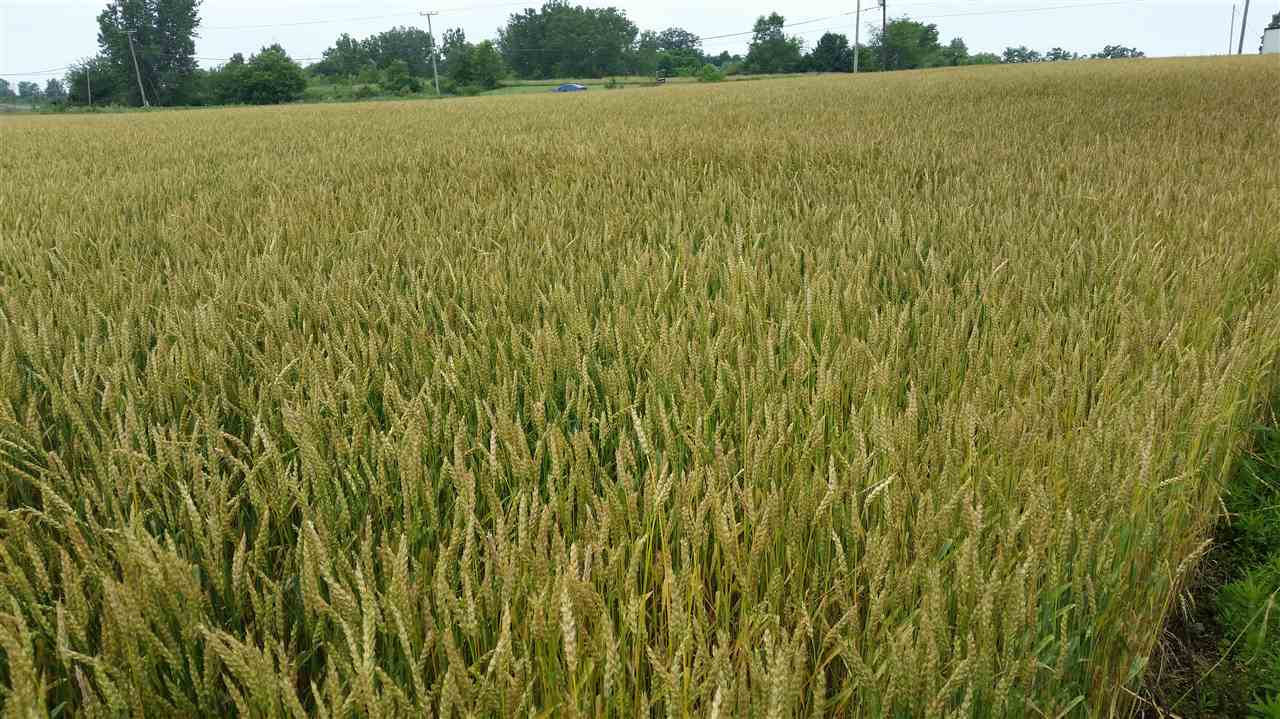 3527 Adams Ctr Road Fort Wayne, IN 46806 - Photo 9 of 22