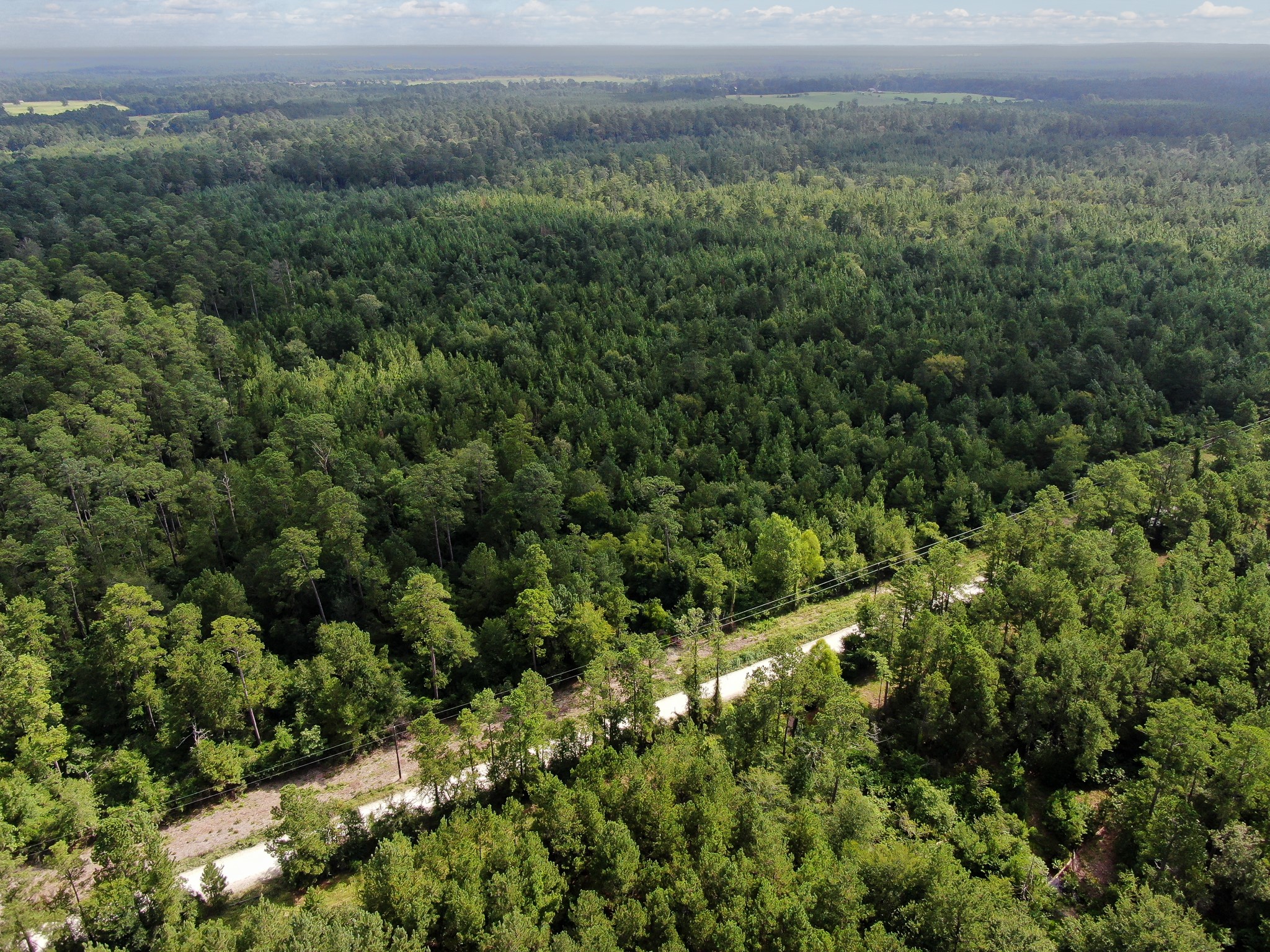 0 Scales Ranch Road Huntsville, TX 77320 - Photo 13 of 22