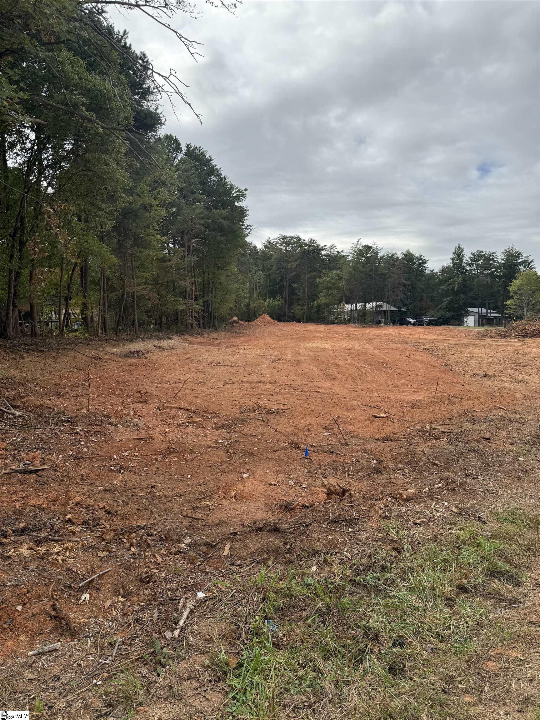 2015 State Rd S-42-90 Pauline, SC 29374 - Photo 3 of 3