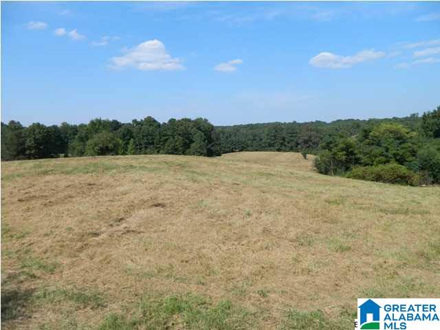 9545 Bankston Road Dora, AL 35062 - Photo 2 of 4