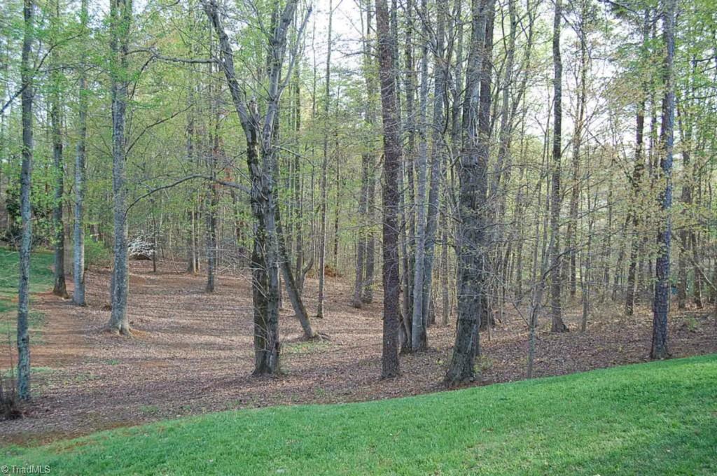 664 Spainhour Road King, NC 27021 - Photo 3 of 12 Backyard has park like view of natural area and mature trees.