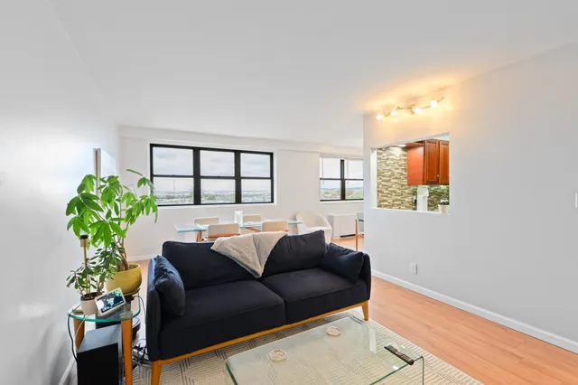 a living room with furniture and a potted plant
