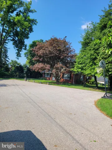 a view of a park with large trees