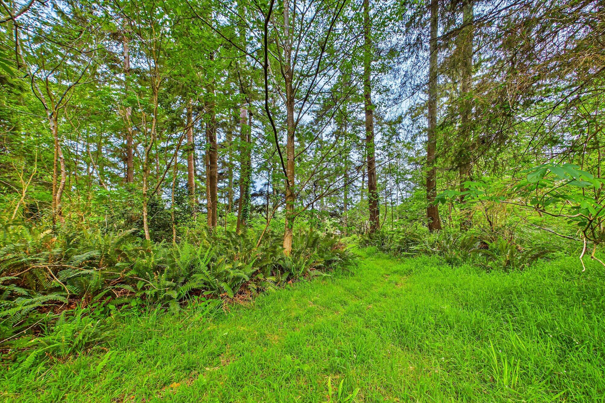 452 Tanglewood Road Arcata, CA 95521 - Photo 66 of 76