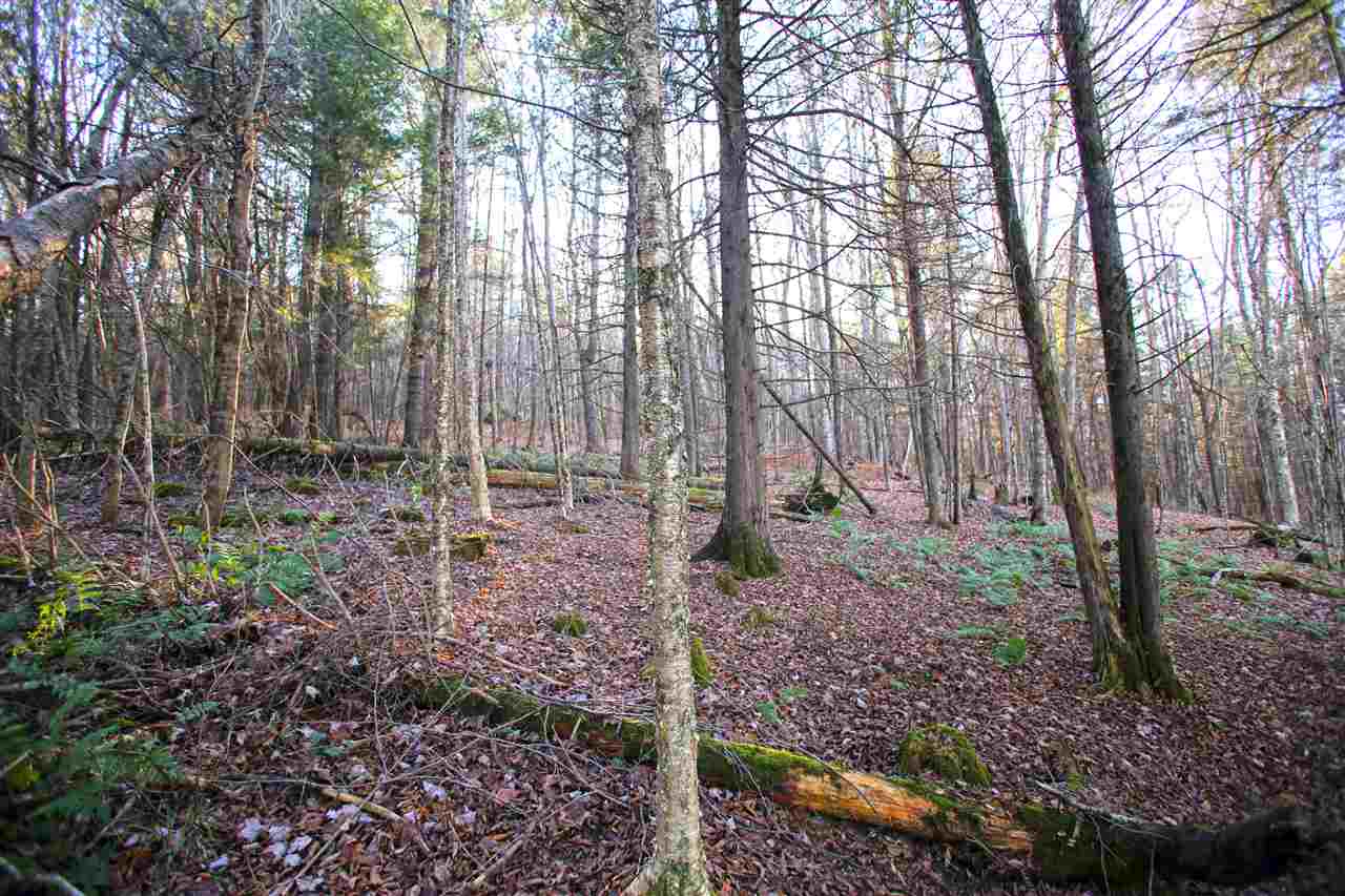 700 Country Club Road Plainfield, VT 05667 - Photo 22 of 40