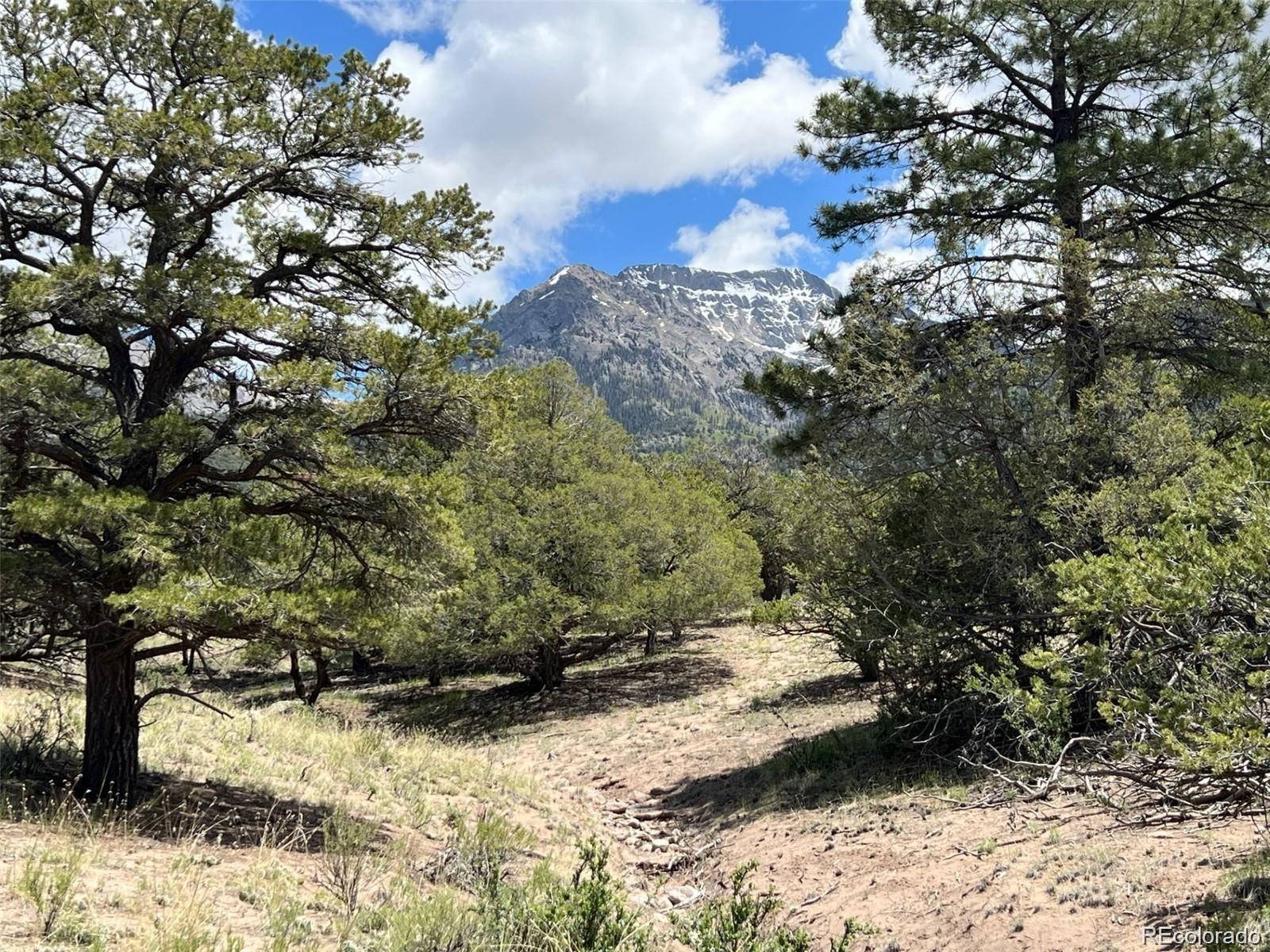 1153 East Badger Road Crestone, CO 81131 - Photo 2 of 10