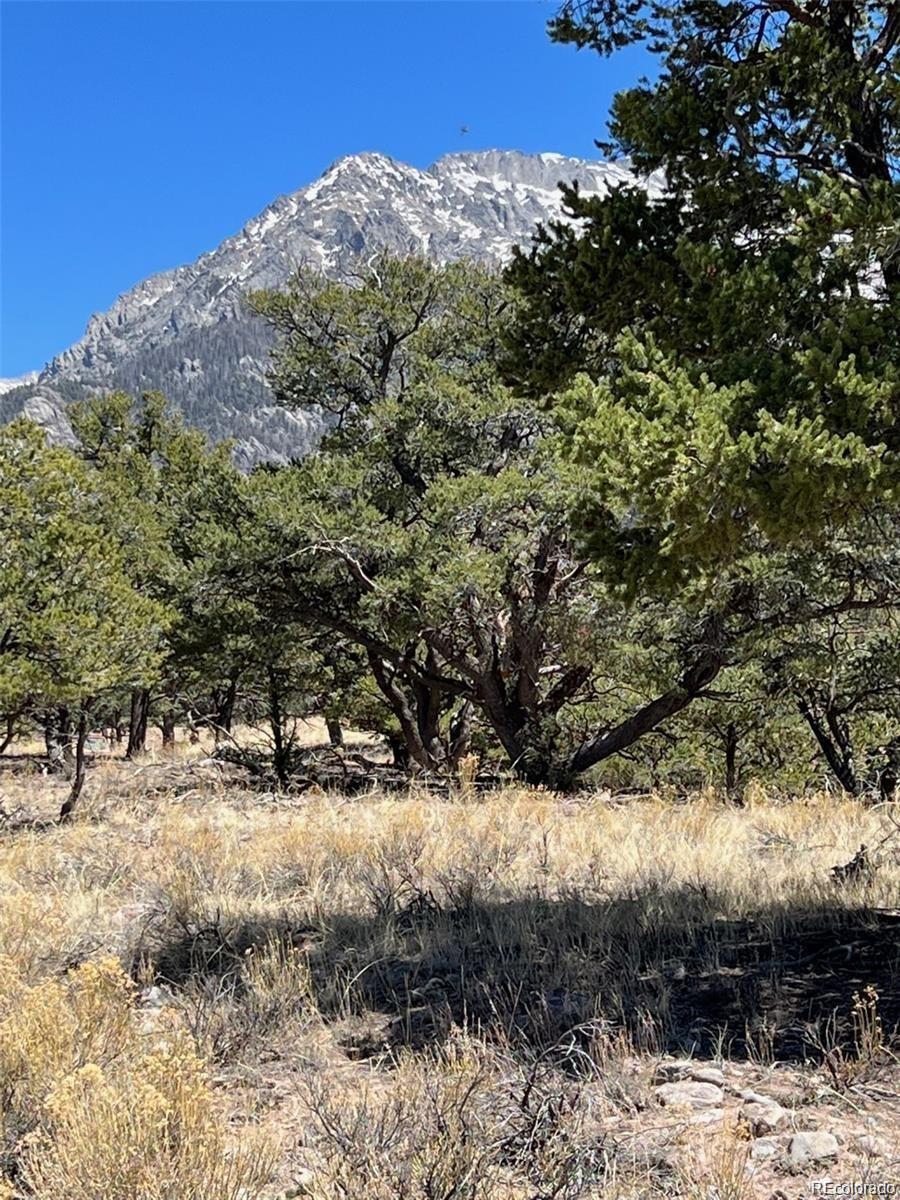 1153 East Badger Road Crestone, CO 81131 - Photo 4 of 10