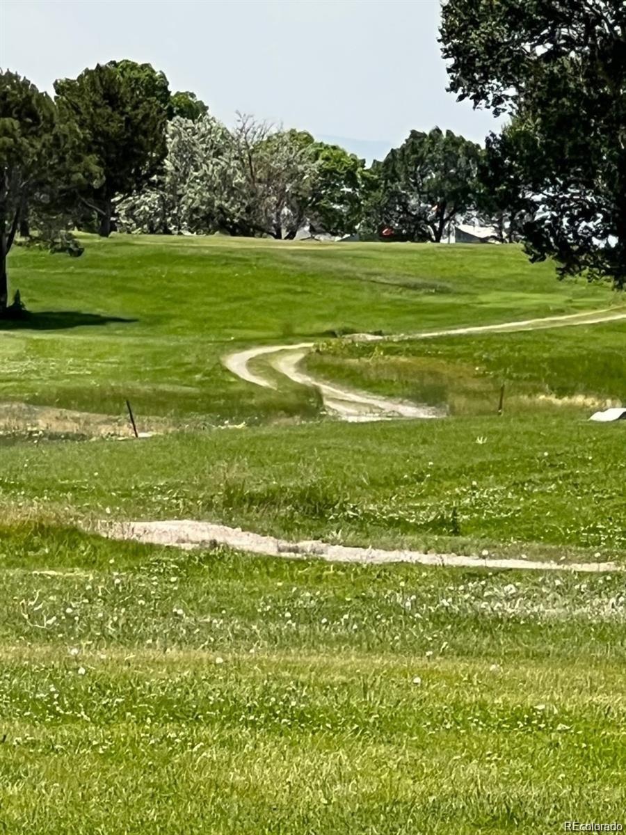 1153 East Badger Road Crestone, CO 81131 - Photo 10 of 10