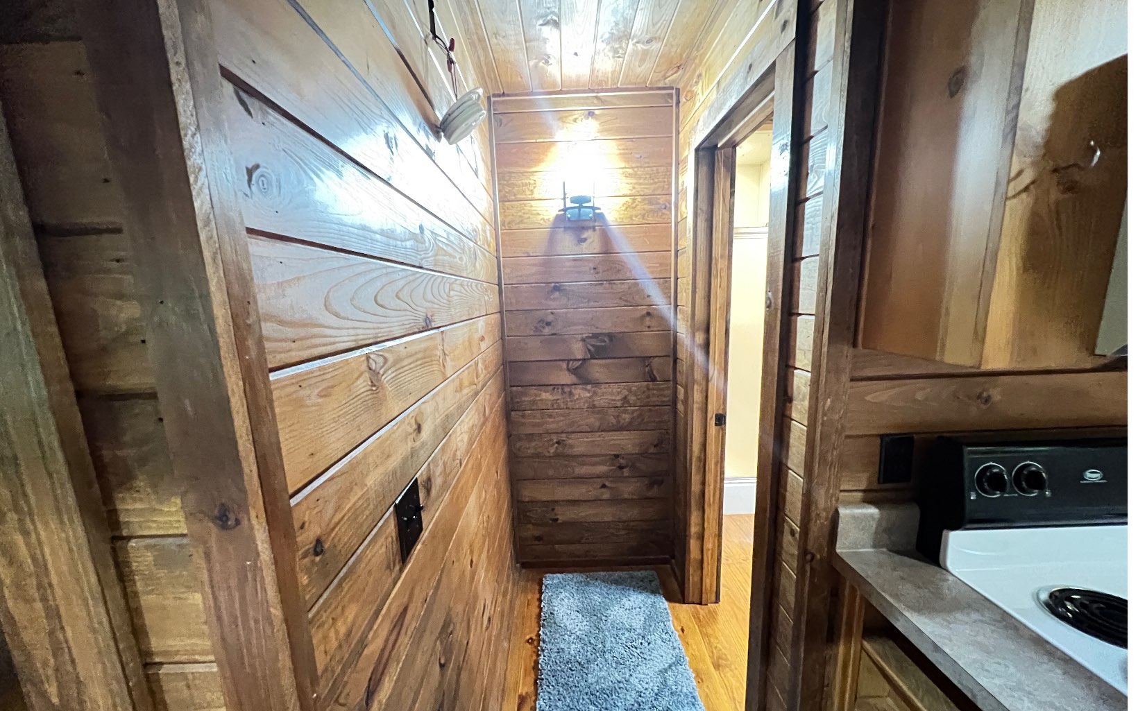 411 Bushy Head Road Cherry Log, GA 30522 - Photo 12 of 27 Additional View