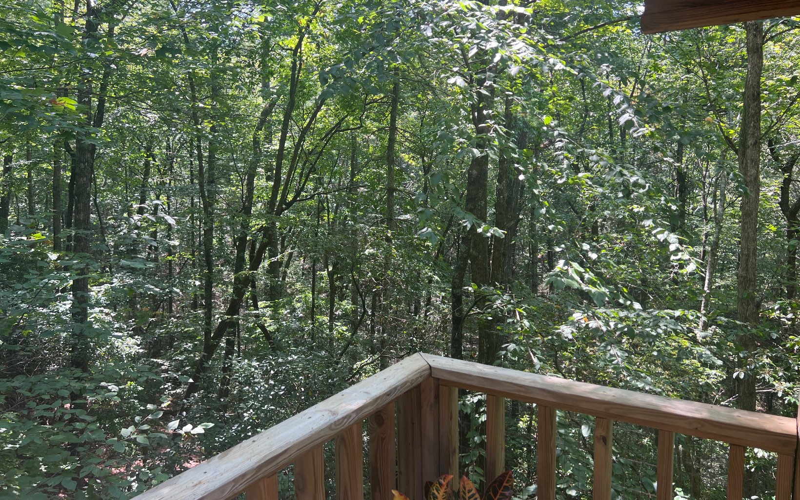 411 Bushy Head Road Cherry Log, GA 30522 - Photo 24 of 27 Additional View