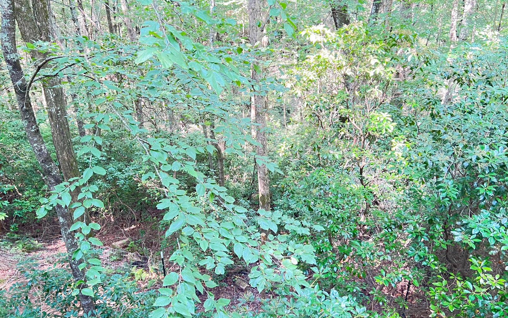 411 Bushy Head Road Cherry Log, GA 30522 - Photo 7 of 27 Additional View