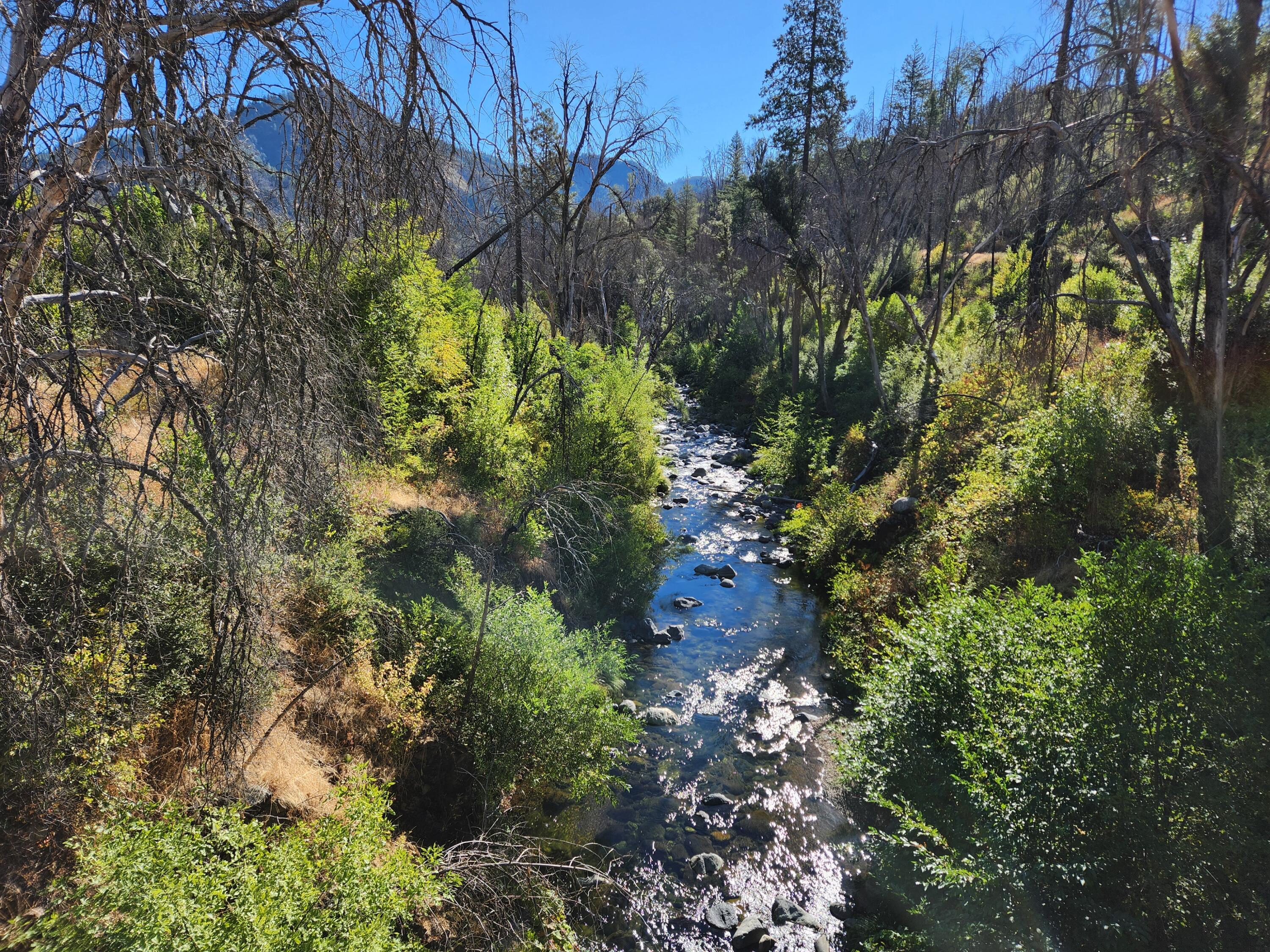 17031 Slate Creek Road Lakehead, CA 96051 - Photo 1 of 47 20240908_093158