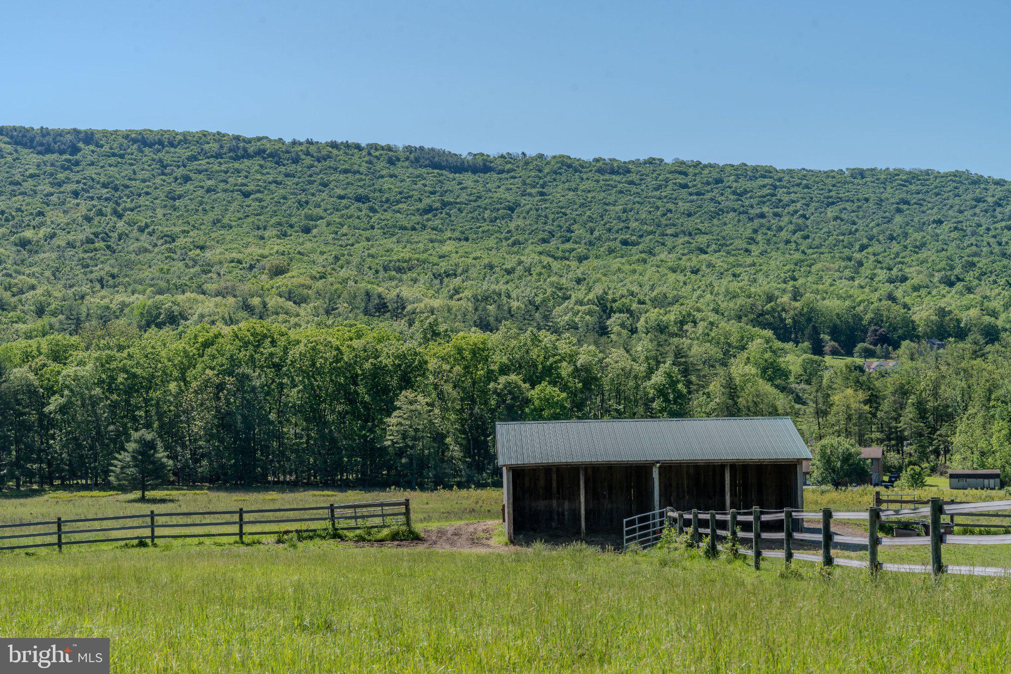 4503 Scotch Valley Road Hollidaysburg, PA 16648 - Photo 35 of 85