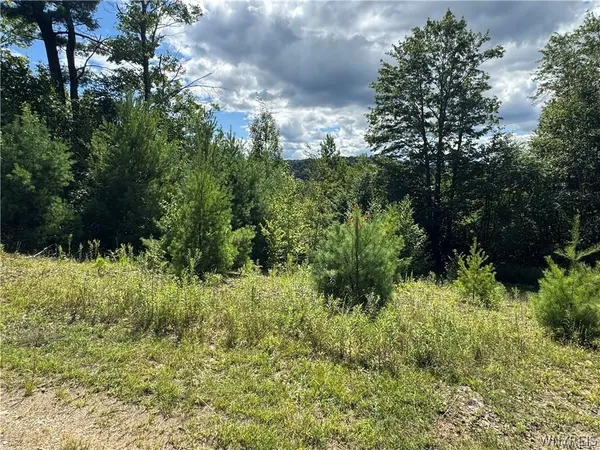 $190,000 | 5400 County Road 38, Alma, NY 14708