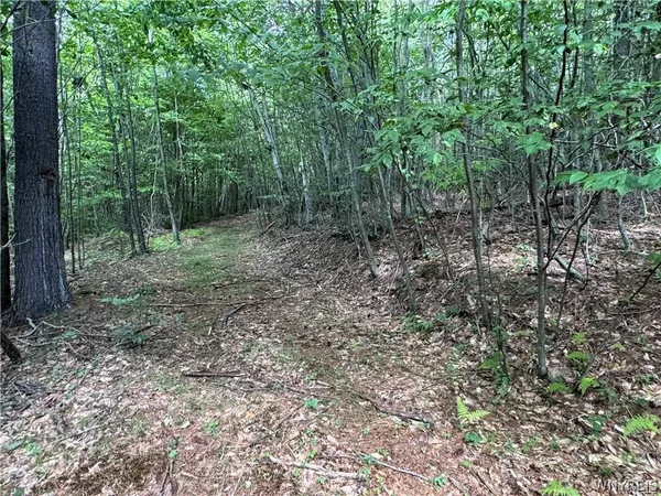 $190,000 | 5400 County Road 38, Alma, NY 14708