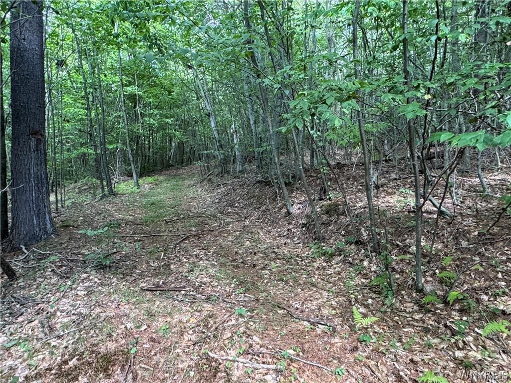 5400 County Road 38 Alma, NY 14708 - Photo 36 of 49