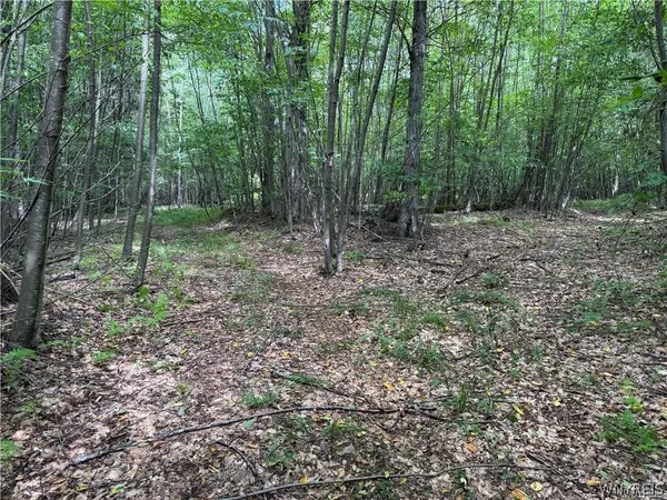 $190,000 | 5400 County Road 38, Alma, NY 14708