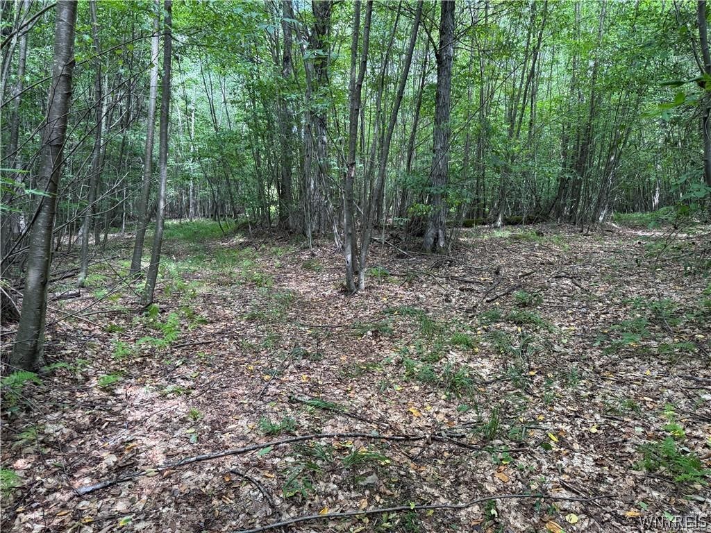 5400 County Road 38 Alma, NY 14708 - Photo 37 of 49