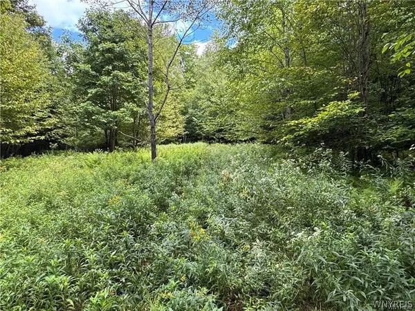 $190,000 | 5400 County Road 38, Alma, NY 14708