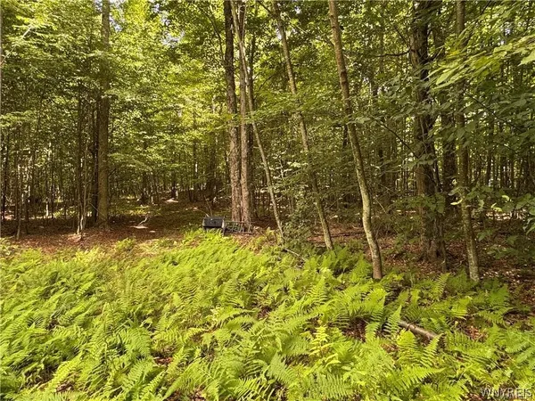 $190,000 | 5400 County Road 38, Alma, NY 14708